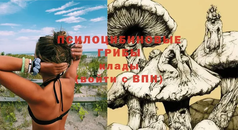 Галлюциногенные грибы Psilocybe  мориарти телеграм  Югорск 